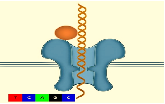 http://www.ommegaonline.org/admin/journalassistance/picturegallery/383.jpg