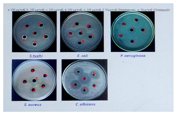 Figure 13