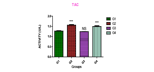 Figure 5b