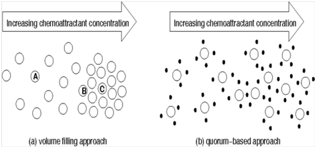 The Non Equilibrium Statistical Physics Of Microbes